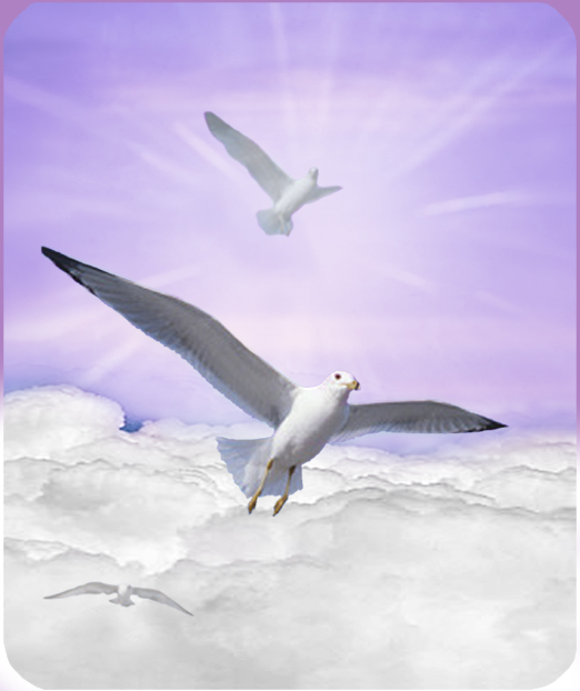 Journey Home Clouds Birds Purple PRINT